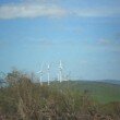 brazil wind farm